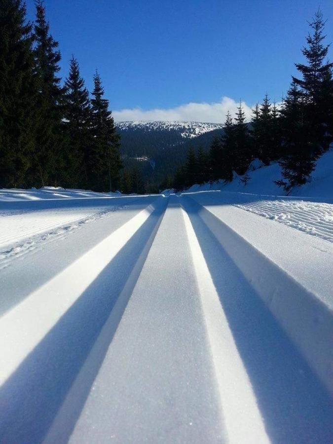 Pensjonat Trojak Lądek-Zdrój Exterior foto